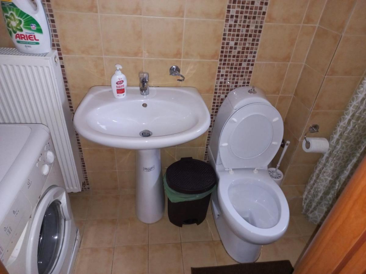 Ιάνθη Studio Apartment Karditsa Bagian luar foto