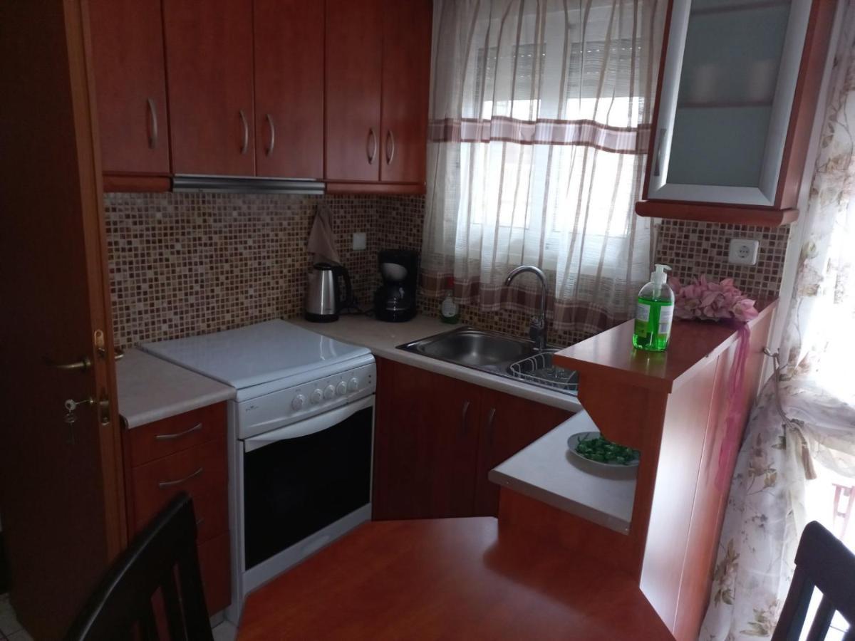 Ιάνθη Studio Apartment Karditsa Bagian luar foto